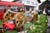 1_168_MG_6843