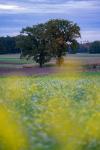 3_872__A7R9264---Kopie999